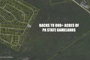 255 Birch Dr, Blakeslee, PA 18610 - Photo 64