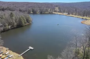 134 Laurel Hill Dr, Greentown, PA 18426 - Photo 54