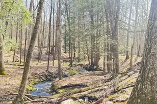 Lot 155 Tink Wig Dr, Hawley, PA 18428 - Photo 1