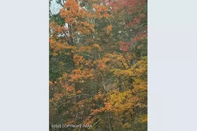  Lot 155 Tink Wig Drive, Hawley, PA 18428 - Photo 4