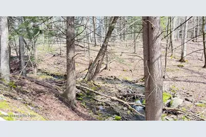  Lot 155 Tink Wig Drive, Hawley, PA 18428 - Photo 8