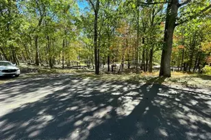 146 Gunstock Ln, Tafton, PA 18464 - Photo 50