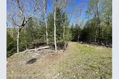  3177 Stony Run Lane, Cresco, PA 18326 - Photo 38