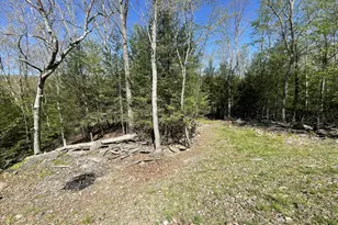3177 Stony Run Ln, Cresco, PA 18326 - Photo 38