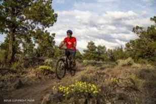 128 E Broad St, Tamaqua, PA 18252 - Photo 80