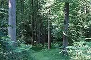 128 E Broad St, Tamaqua, PA 18252 - Photo 82