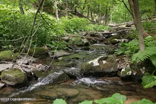 169 Saunders Dr, Bushkill, PA 18324 - Photo 80