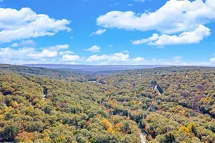 169 Saunders Dr, Bushkill, PA 18324 - Photo 68