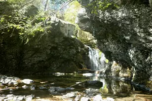 1329 Main Rd, East Stroudsburg, PA 18302 - Photo 40