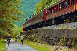 102 Dogwood Rd, Drums, PA 18222 - Photo 40