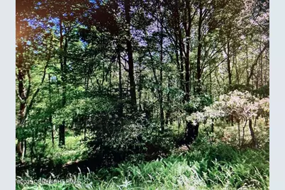  2237 Nosirrah Road, Albrightsville, PA 18210 - Photo 2