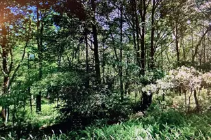 2237 Nosirrah Rd, Albrightsville, PA 18210 - Photo 2