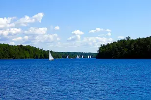 2129 Oak Rd, Pocono Pines, PA 18350 - Photo 66