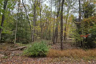 A465 Redwood Dr, Jim Thorpe, PA 18229 - Photo 2