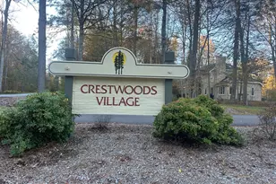 844 Crest Pines Ln, Pocono Pines, PA 18350 - Photo 52