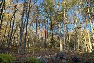 844 Crest Pines Ln, Pocono Pines, PA 18350 - Photo 32