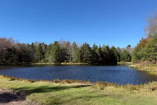 135 Sitka Dr, Pocono Lake, PA 18347 - Photo 62