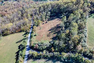 T409 Fetherman Rd, Stroudsburg, PA 18360 - Photo 12