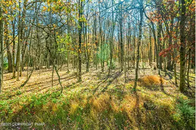  Ev407 Towamensing Trail, Albrightsville, PA 18210 - Photo 4