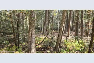  C830 & C83 Lakeside Lane, Albrightsville, PA 18210 - Photo 2