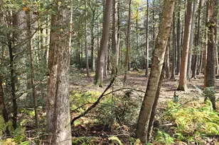 C830 & C83 Lakeside Ln, Albrightsville, PA 18210 - Photo 2