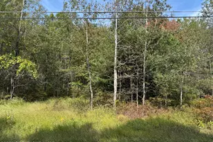 223 Wolf Dr, Jim Thorpe, PA 18229 - Photo 1