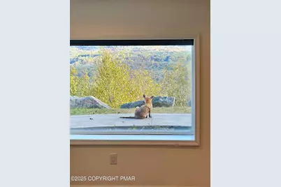  317 Valley View Drive, Albrightsville, PA 18210 - Photo 88