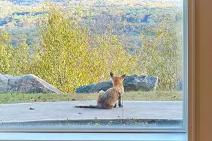 317 Valley View Dr, Albrightsville, PA 18210 - Photo 88