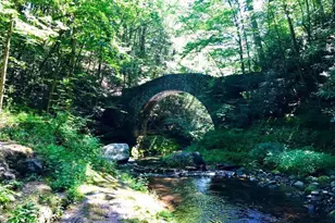 519 Pheasant Ln, Buck Hill Falls, PA 18323 - Photo 74