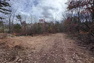 D299 Robertson Rd, Albrightsville, PA 18210 - Photo 4