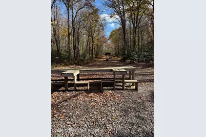  27 Raintree Lane, Albrightsville, PA 18210 - Photo 38