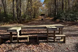 27 Raintree Ln, Albrightsville, PA 18210 - Photo 38