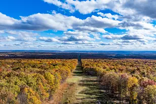 143 Foothill Blvd, Effort, PA 18330 - Photo 12