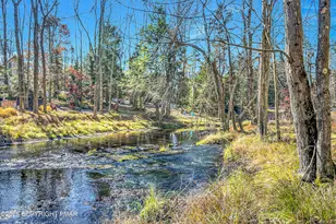 270 Trout Creek Dr, Pocono Lake, PA 18347 - Photo 8
