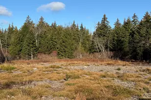 12 Laurel View Ln, Tobyhanna, PA 18466 - Photo 1