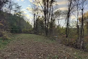 Preachers Camp Dr, Lehighton, PA 18235 - Photo 4