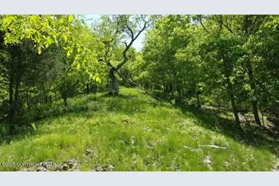  West Of Lr 45080, East Stroudsburg, PA 18301 - Photo 8