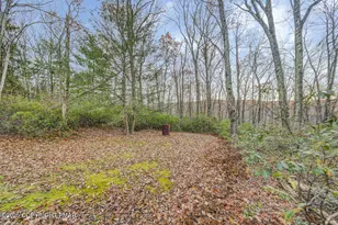 384 Devils Hole Rd, Cresco, PA 18326 - Photo 86