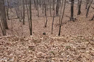 Lot 1686 Exeter Ct, Bushkill, PA 18324 - Photo 1