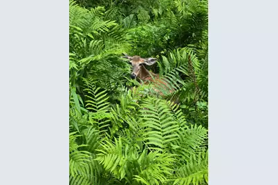  1341 Beaver Valley Road, Stroudsburg, PA 18360 - Photo 34