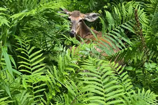 1341 Beaver Valley Rd, Stroudsburg, PA 18360 - Photo 34