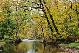 1341 Beaver Valley Rd, Stroudsburg, PA 18360 - Photo 84