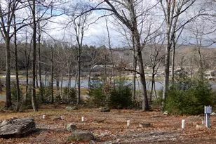 101 Brook Village Ct, Swiftwater, PA 18370 - Photo 4