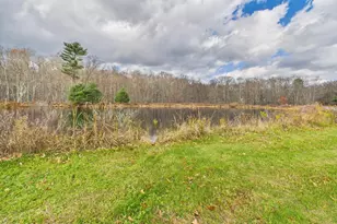 1286 Blackberry Road, Pocono Lake, PA 18347 - Photo 50