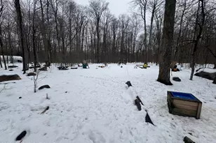 2219 Maple Leaf Ct, Pocono Lake, PA 18347 - Photo 26