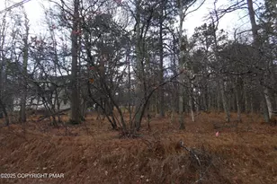 D1922 Old Stage Rd, Albrightsville, PA 18210 - Photo 4