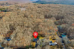 364 Welcome Lake Rd, Beach Lake, PA 18405 - Photo 40