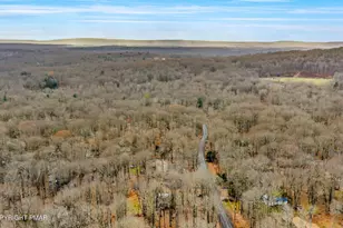 162 Selig Rd, Pocono Lake, PA 18347 - Photo 46