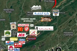 1131 Mink Ct, Bushkill, PA 18324 - Photo 60