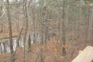 159 Stream Ct, Bushkill, PA 18324 - Photo 22